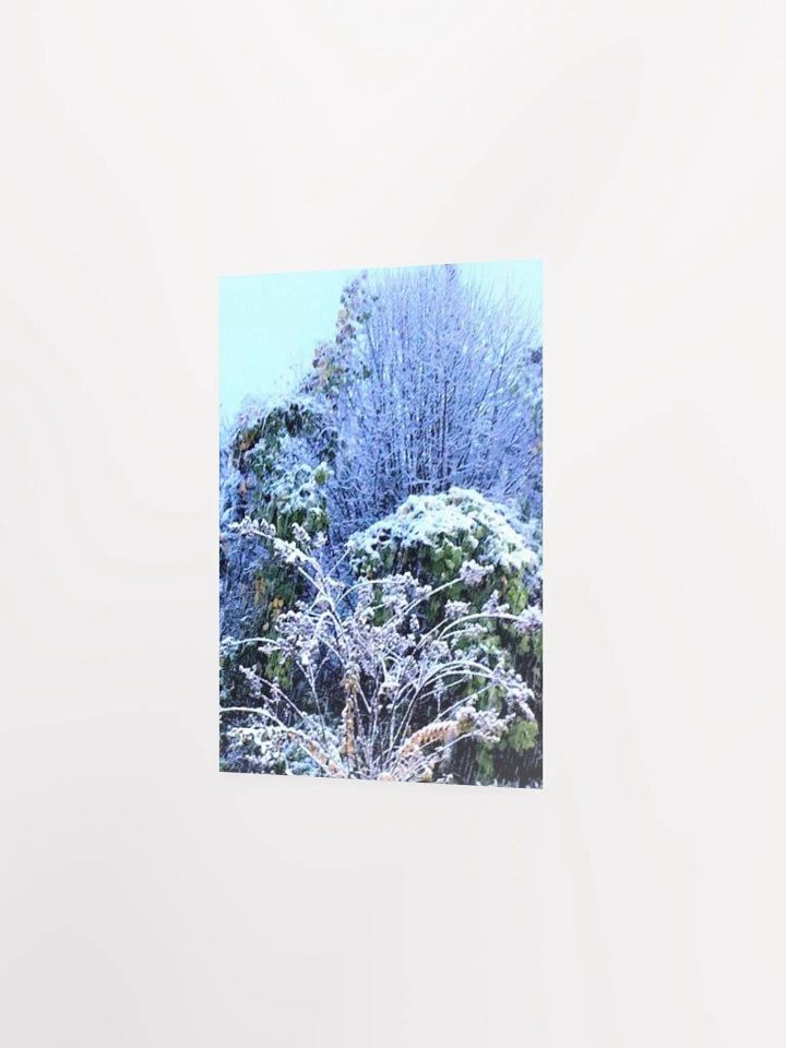 Georgia Winter product image (26)