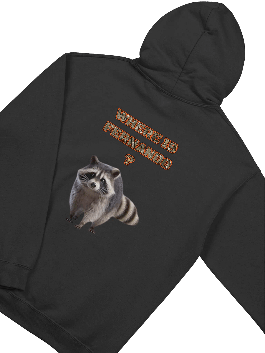 Where is Fernando Gildan Classic Hoodie product image (4)