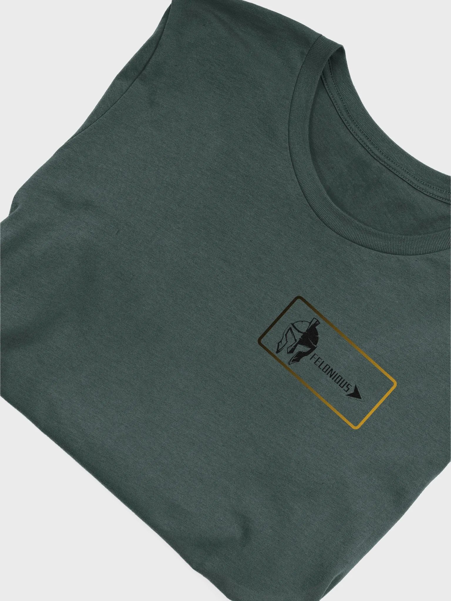 Warrior's Legacy Roman Soldier Felonious T-Shirt product image (36)
