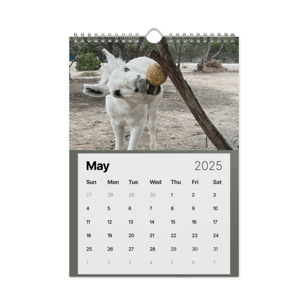 Alveus 2025 Calendar product image (44)