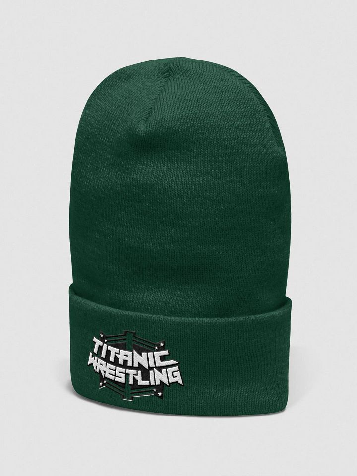 Titanic Logo Beanie - GREEN product image (2)