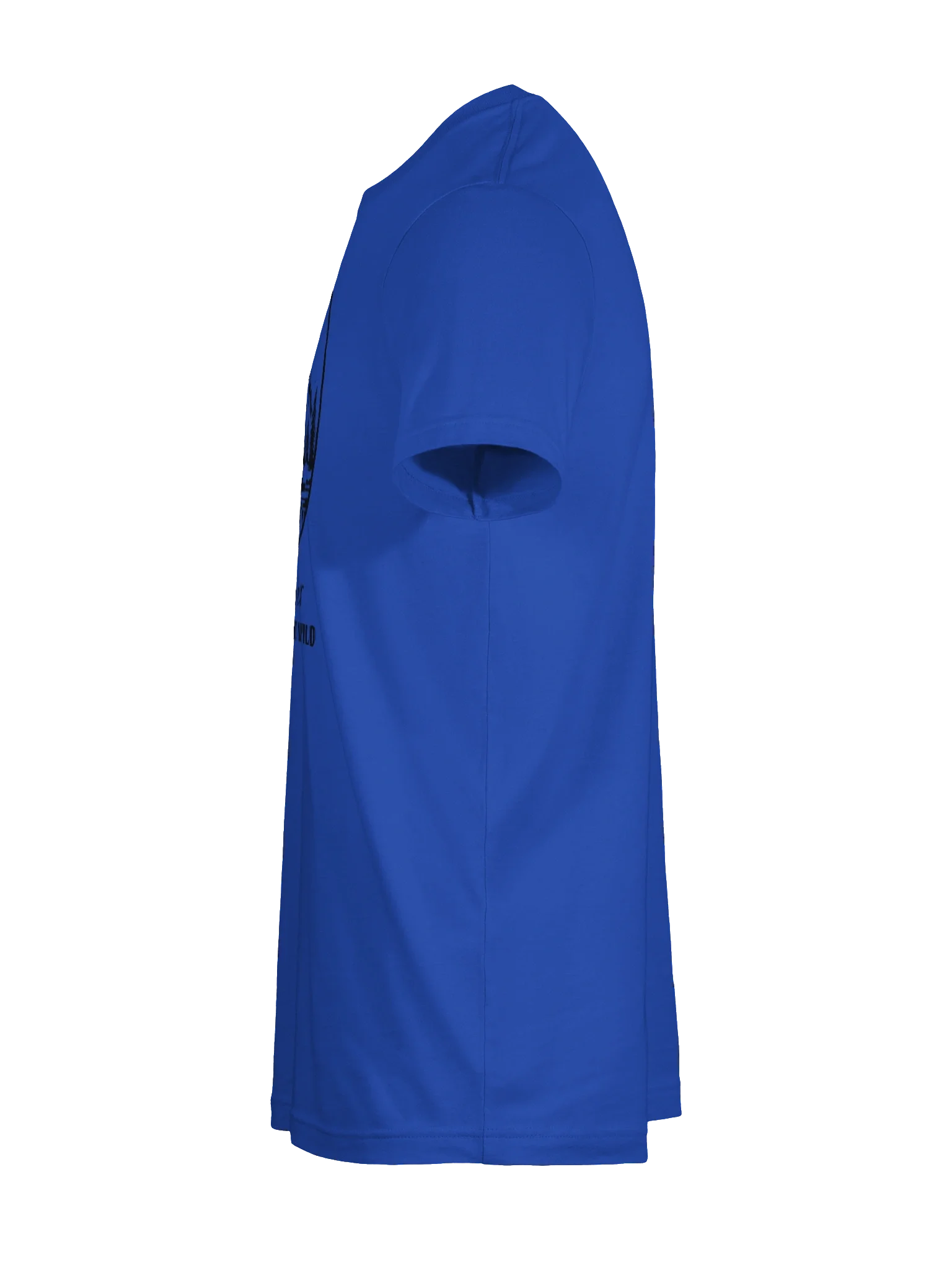 Glacier | National Park Series Tee (SOLID) product image (6)