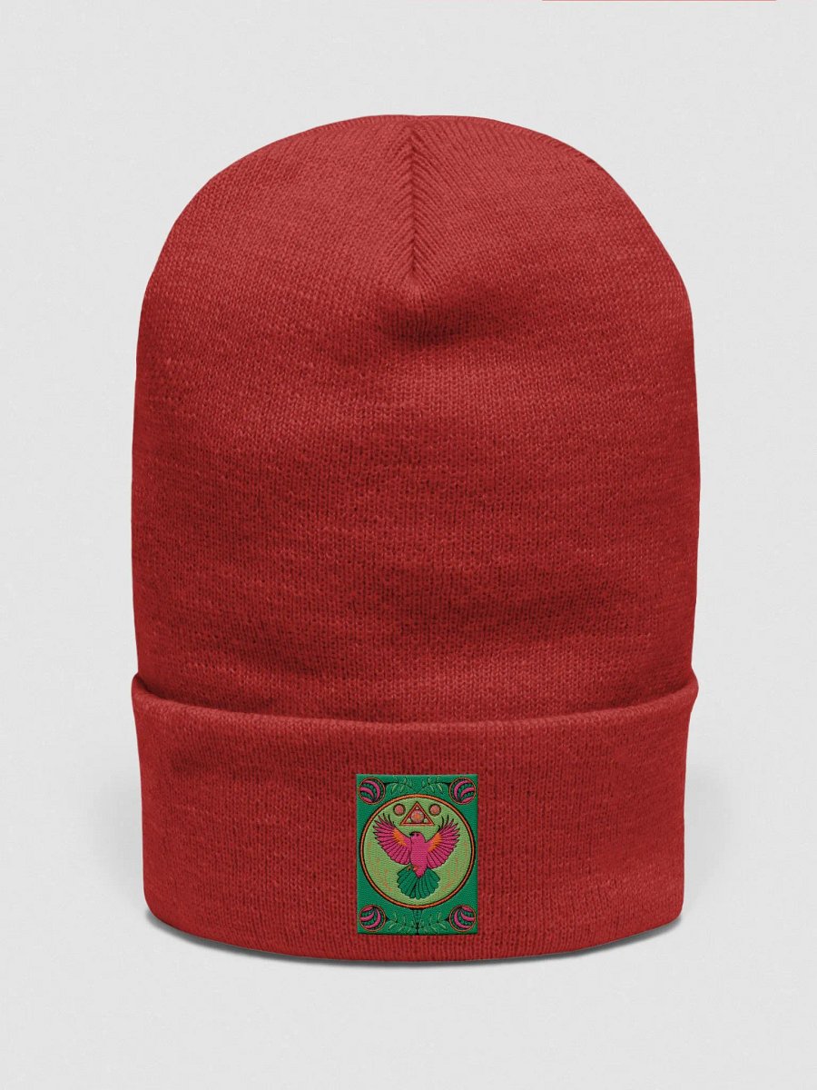 Truck Art Series: Wings of Freedom Beanie product image (1)