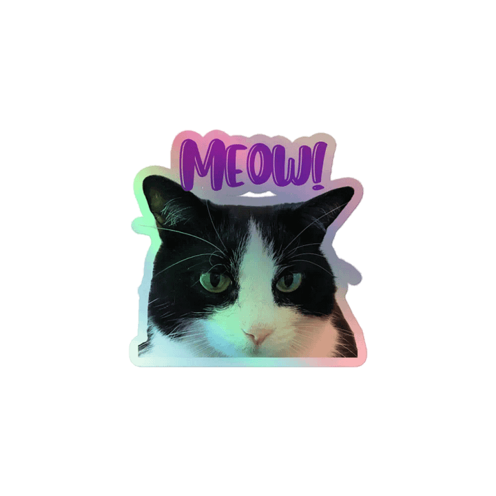 Molly Meow Sticker product image (1)