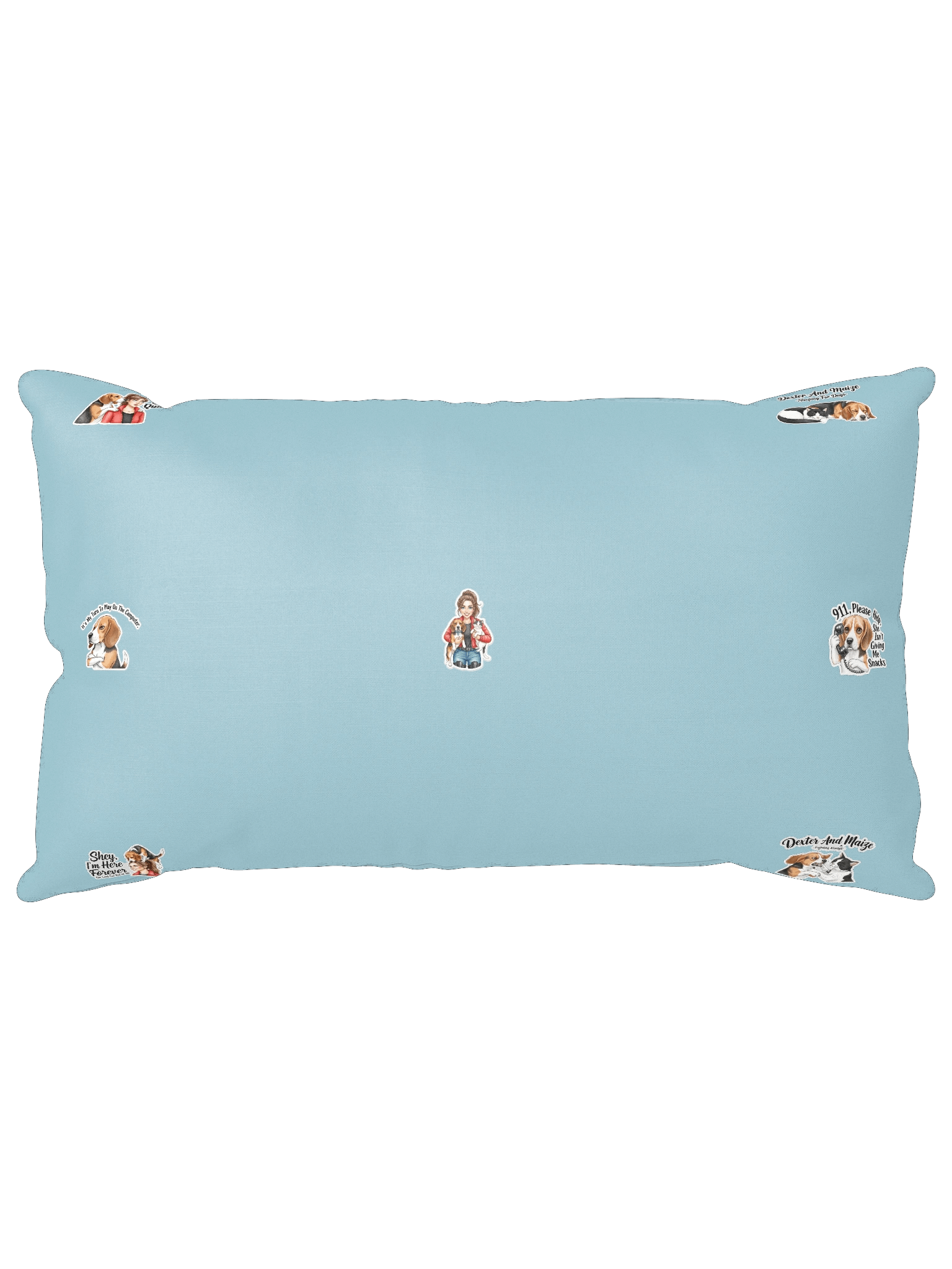 Dex and Co. pillow product image (14)