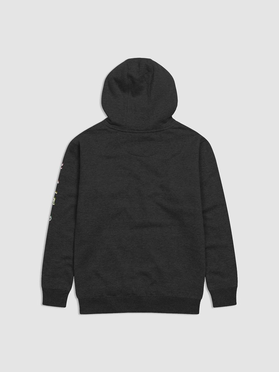 Ho_And_The_Bros Rainbow Logo Hoodie. product image (13)