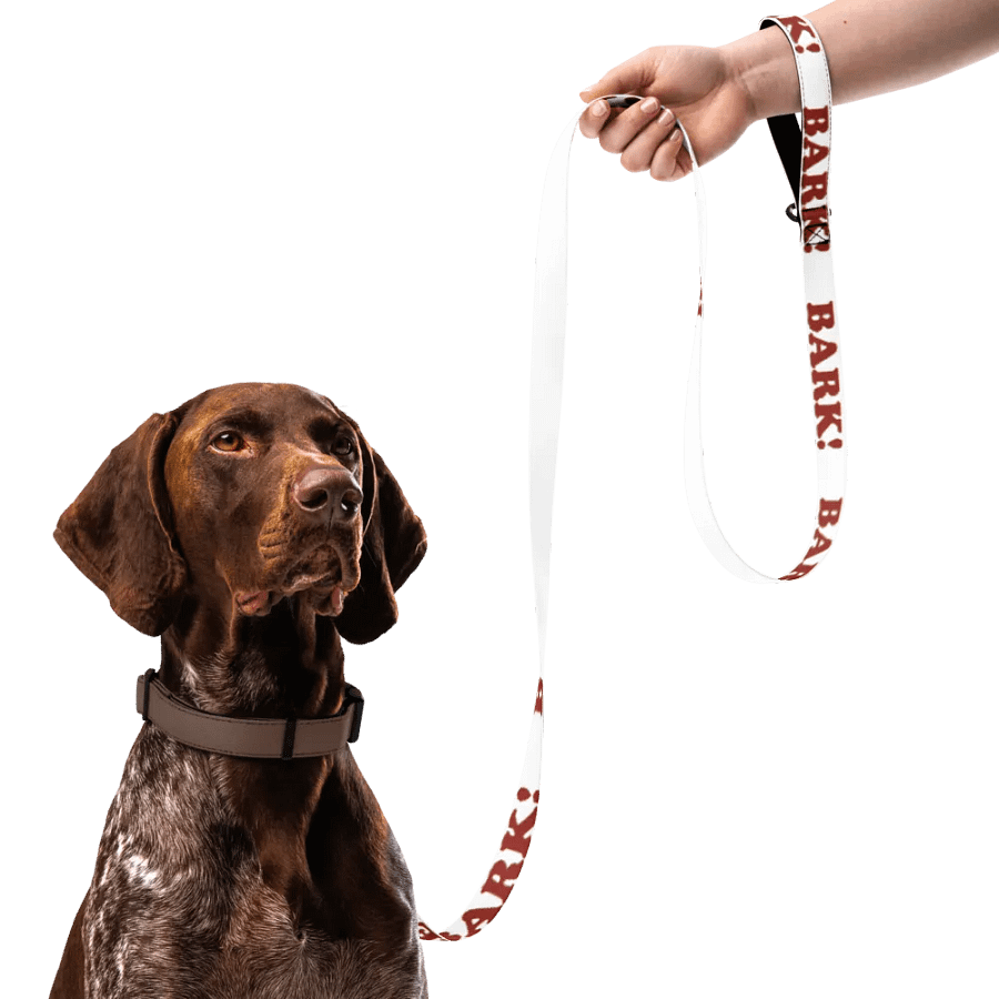 BARK leash product image (6)