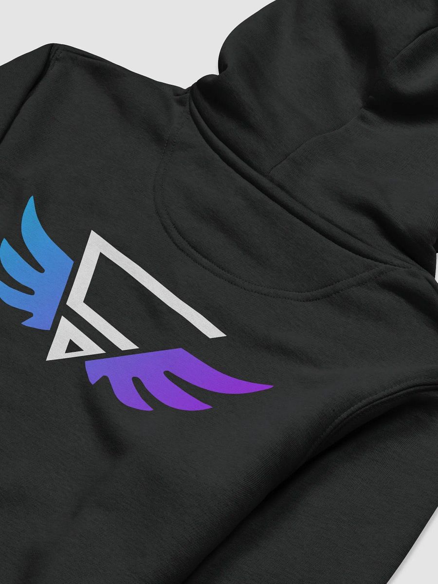 CraytoX Hoodie - Black product image (4)
