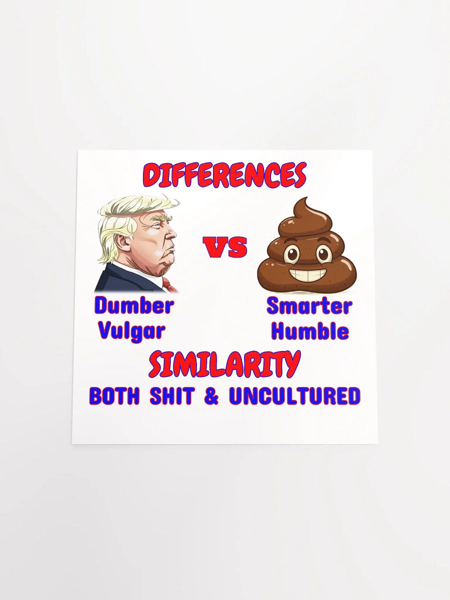Differences vs Similarity Poster product image (16)