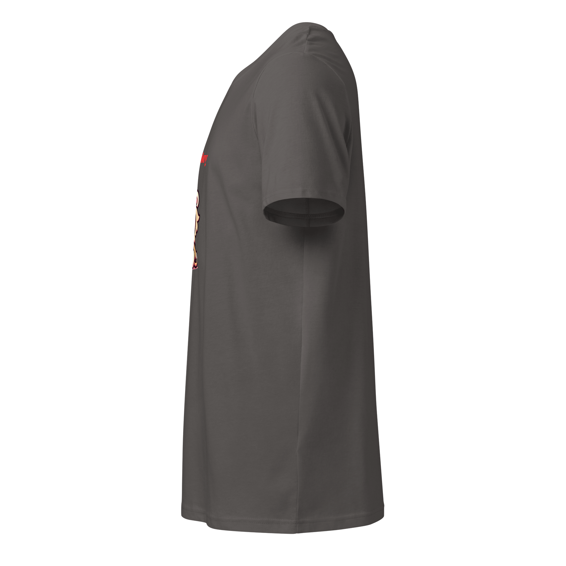 Family Friendly - T-Shirt product image (13)