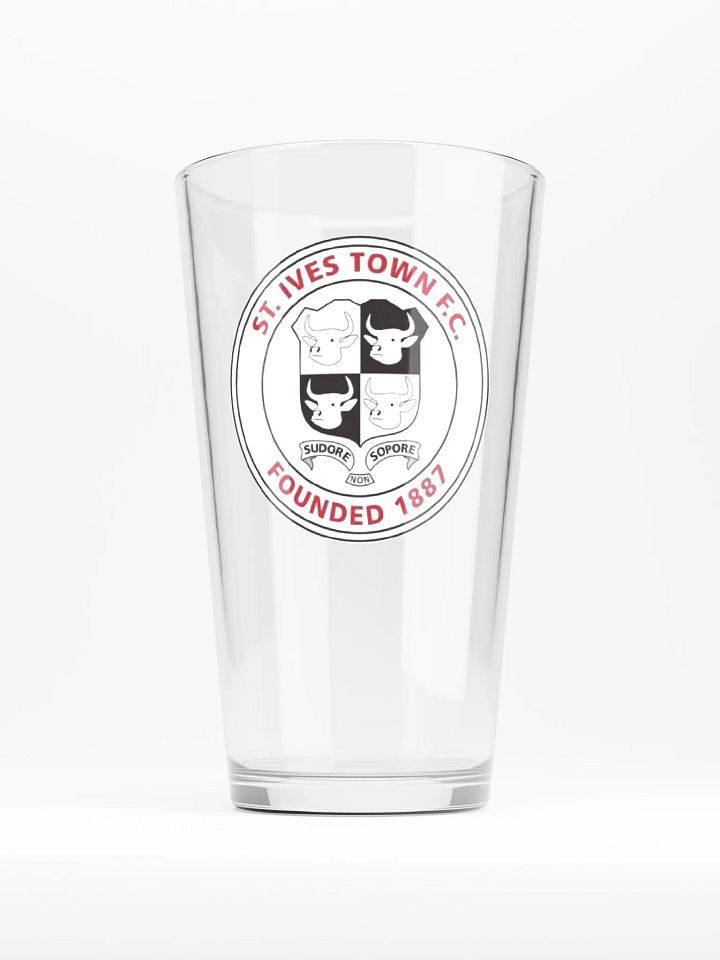 SITFC Pint Glass product image (1)