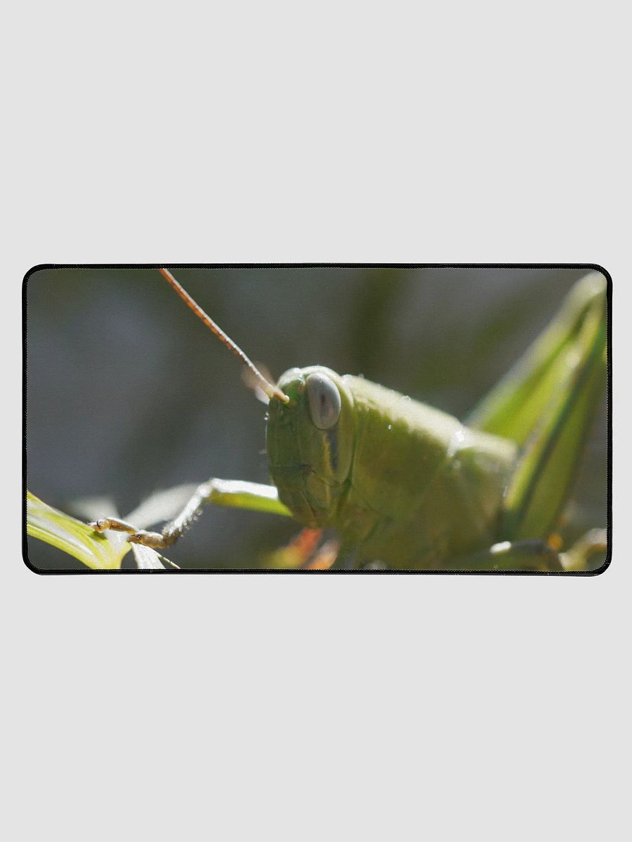 Grasshopper Desk Mat product image (1)