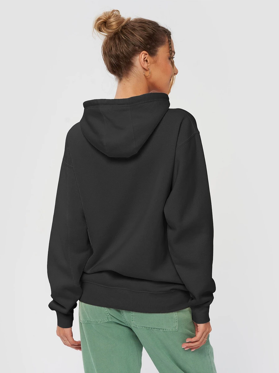 spooky salem hoodie product image (4)