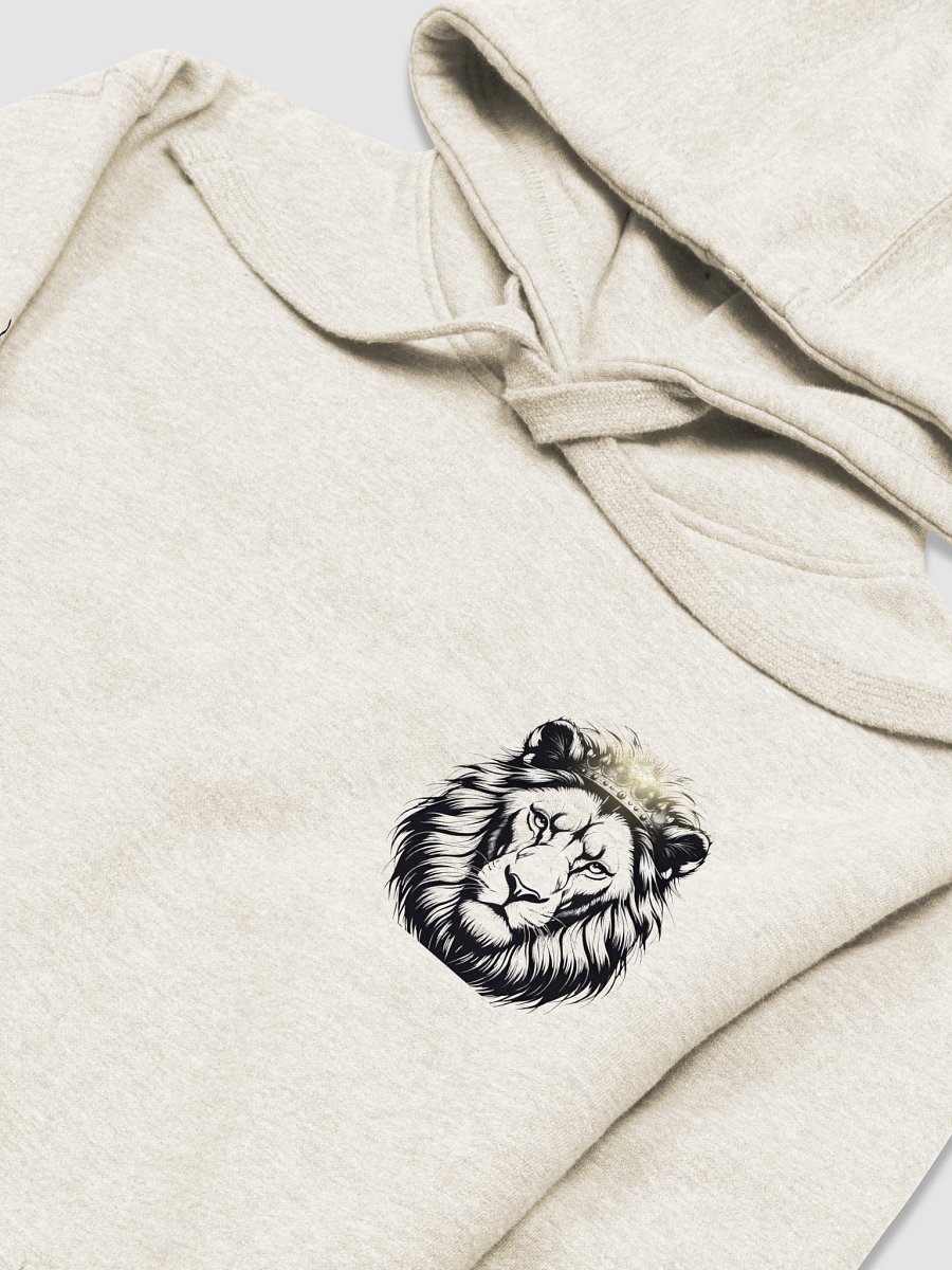 Lion of Judah Unisex Hoodie product image (24)