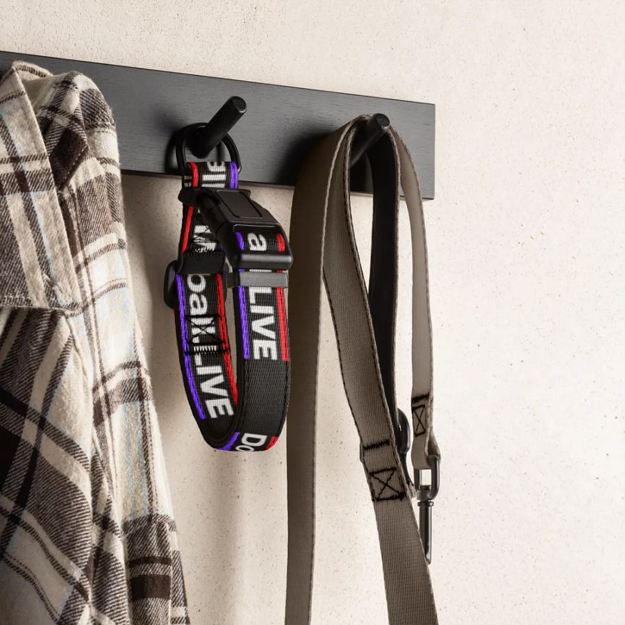 Dodgeball.LIVE Dog Collar product image (6)