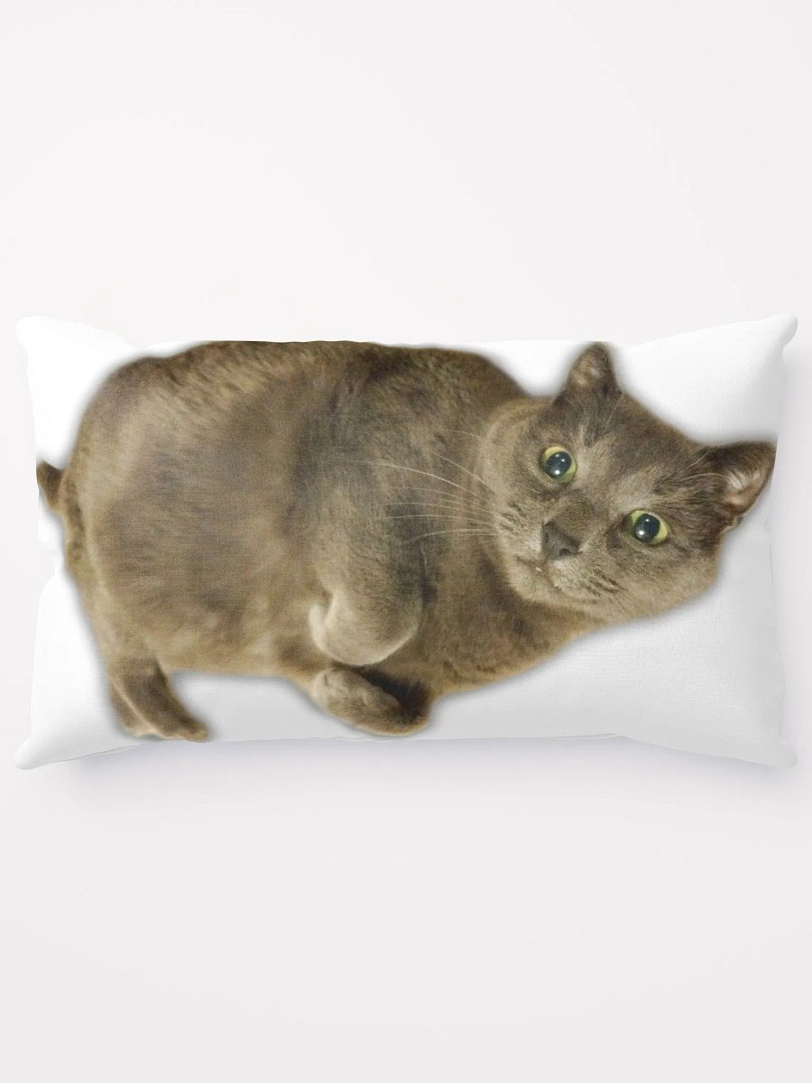 Smokey & Zoey Pillow product image (5)