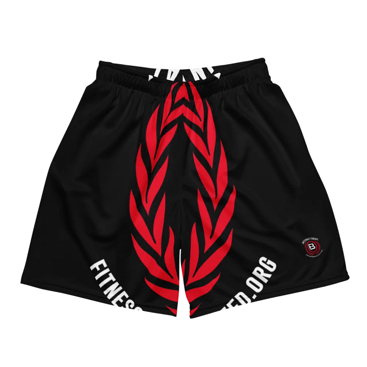 IFBNewsfeed.Org's All-Over Print Recycled Unisex Mesh Shorts product image (2)