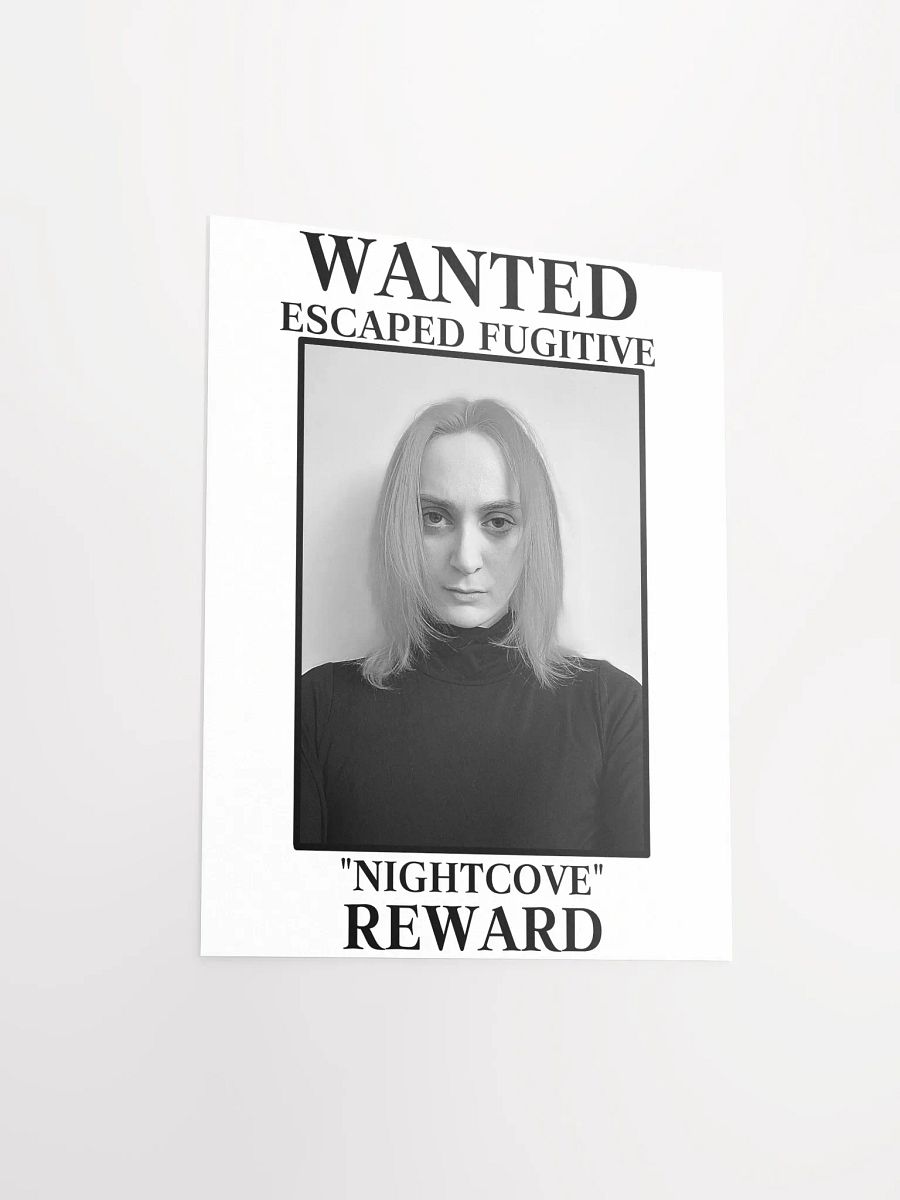 The Villain WANTED Poster product image (3)