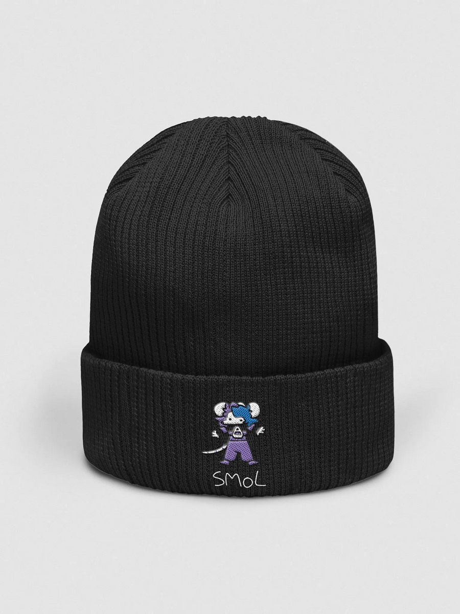 Smol Beanie product image (1)