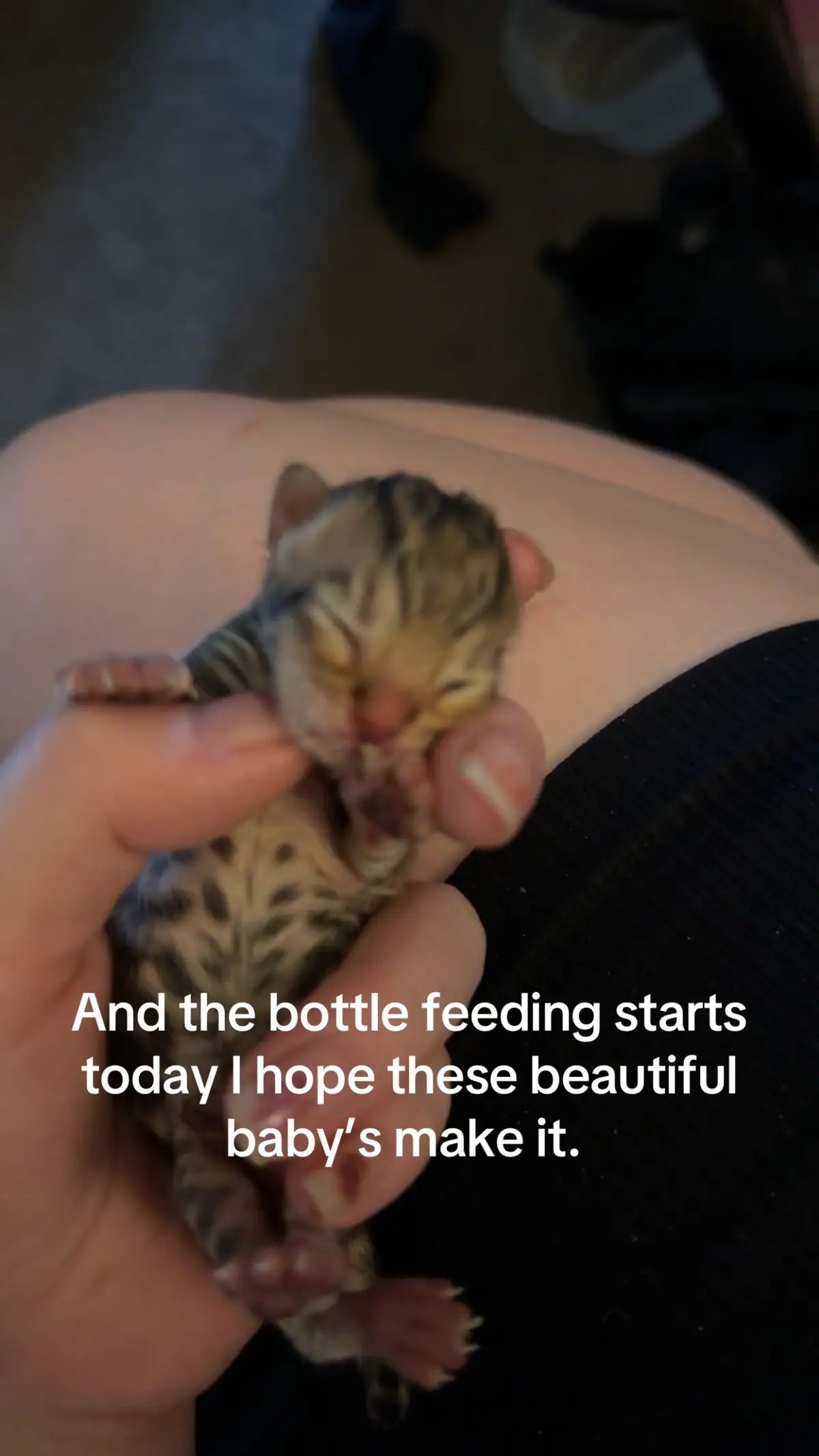 #bottlefeeding  #newborn 