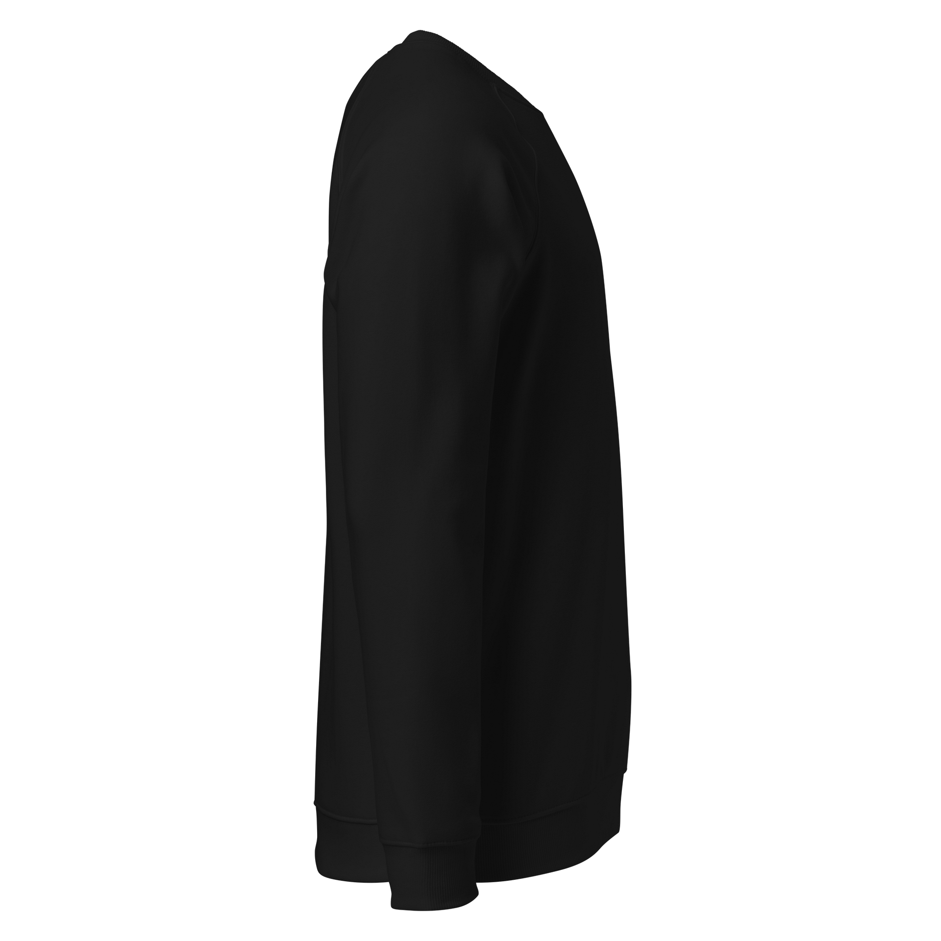 Luxe Fabric Organic Raglan Sweatshirt product image (4)