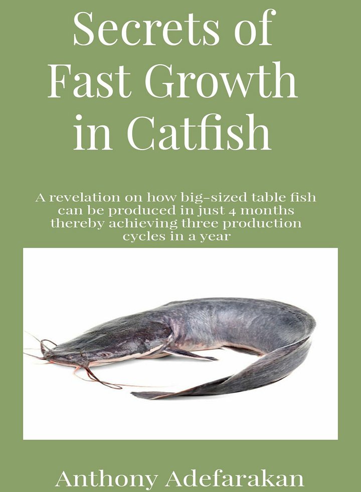 Secrets of Fast Growth in Catfish product image (1)