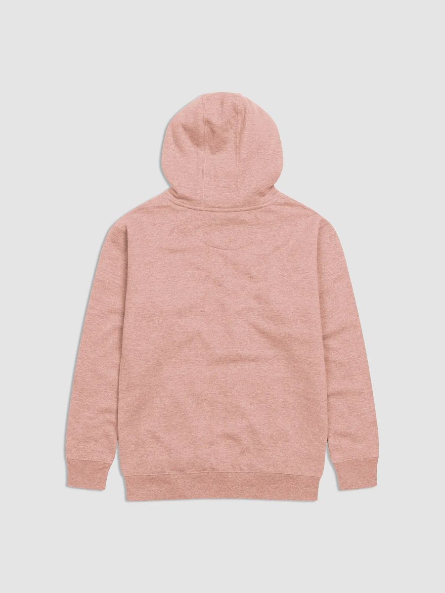 Care Like a Nurse Premium Hoodie product image (18)