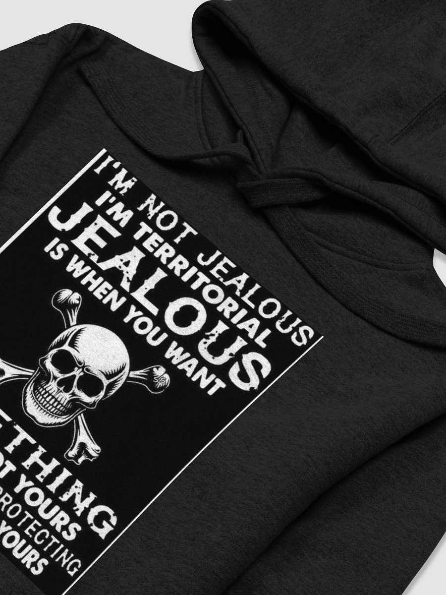 im not jealous hoodie product image (3)