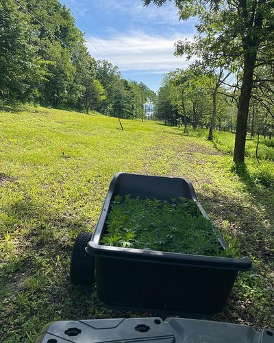 Beautiful day to plant!