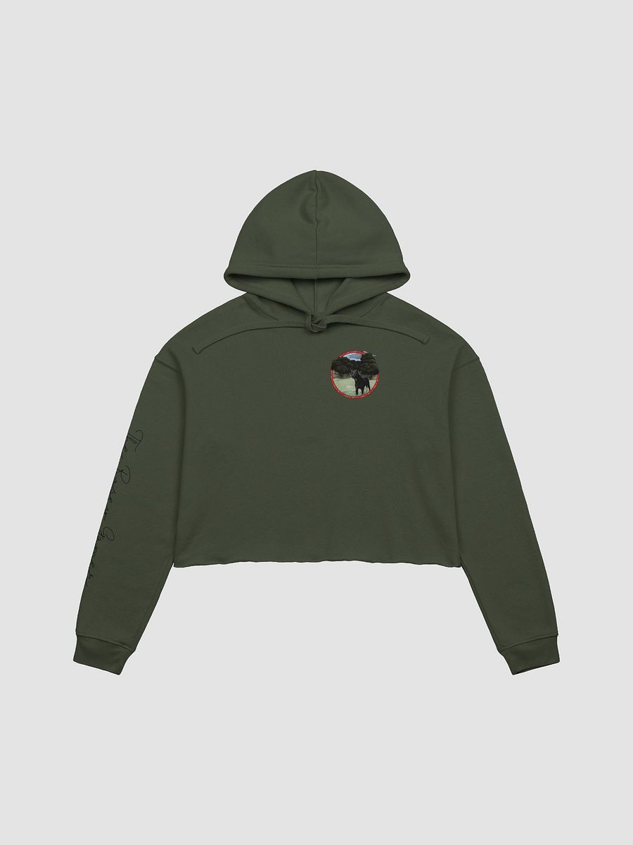 Kirby Club Crop Hoodie product image (1)