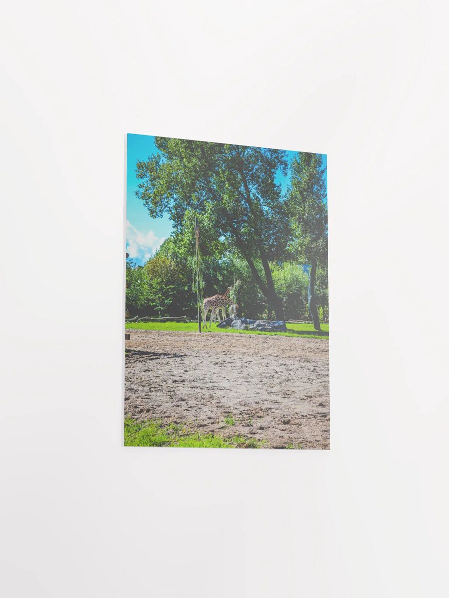 Serenity in the Wild product image (5)