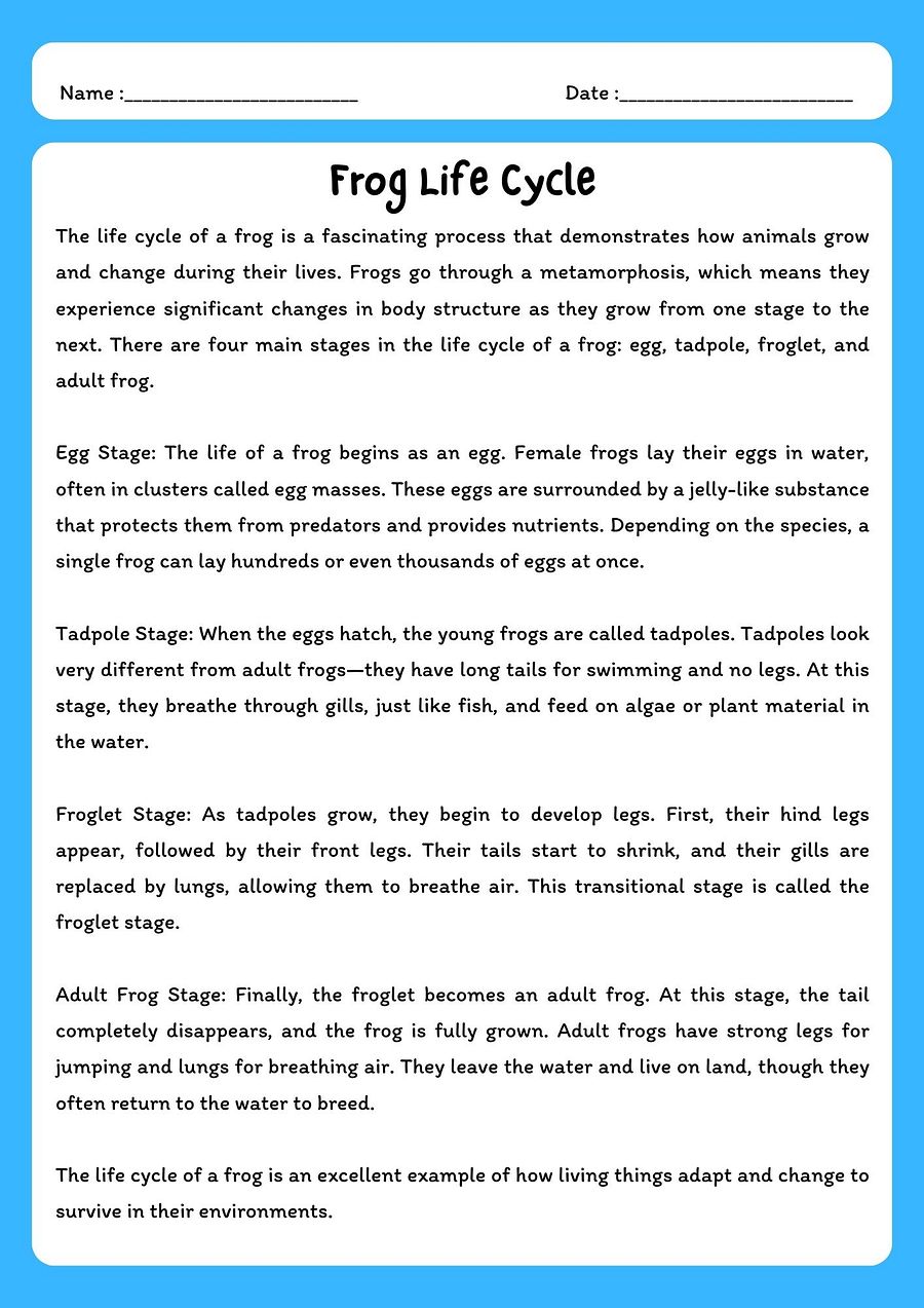 Frog Life Cycle Reading Passage with Comprehension Questions product image (1)