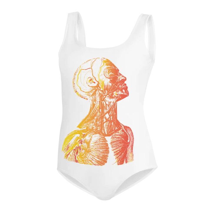Anatomy - Head product image (2)