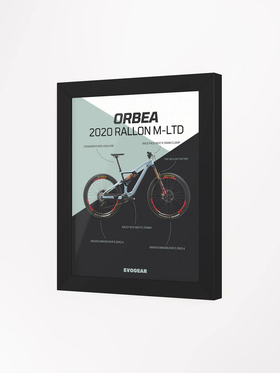 2020 Orbea Rallon M-LTD Frame product image (12)