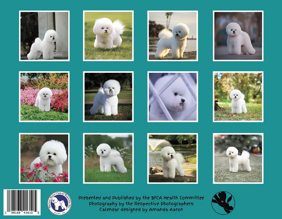 2025 Bichons for Health Calendar BFCA Store