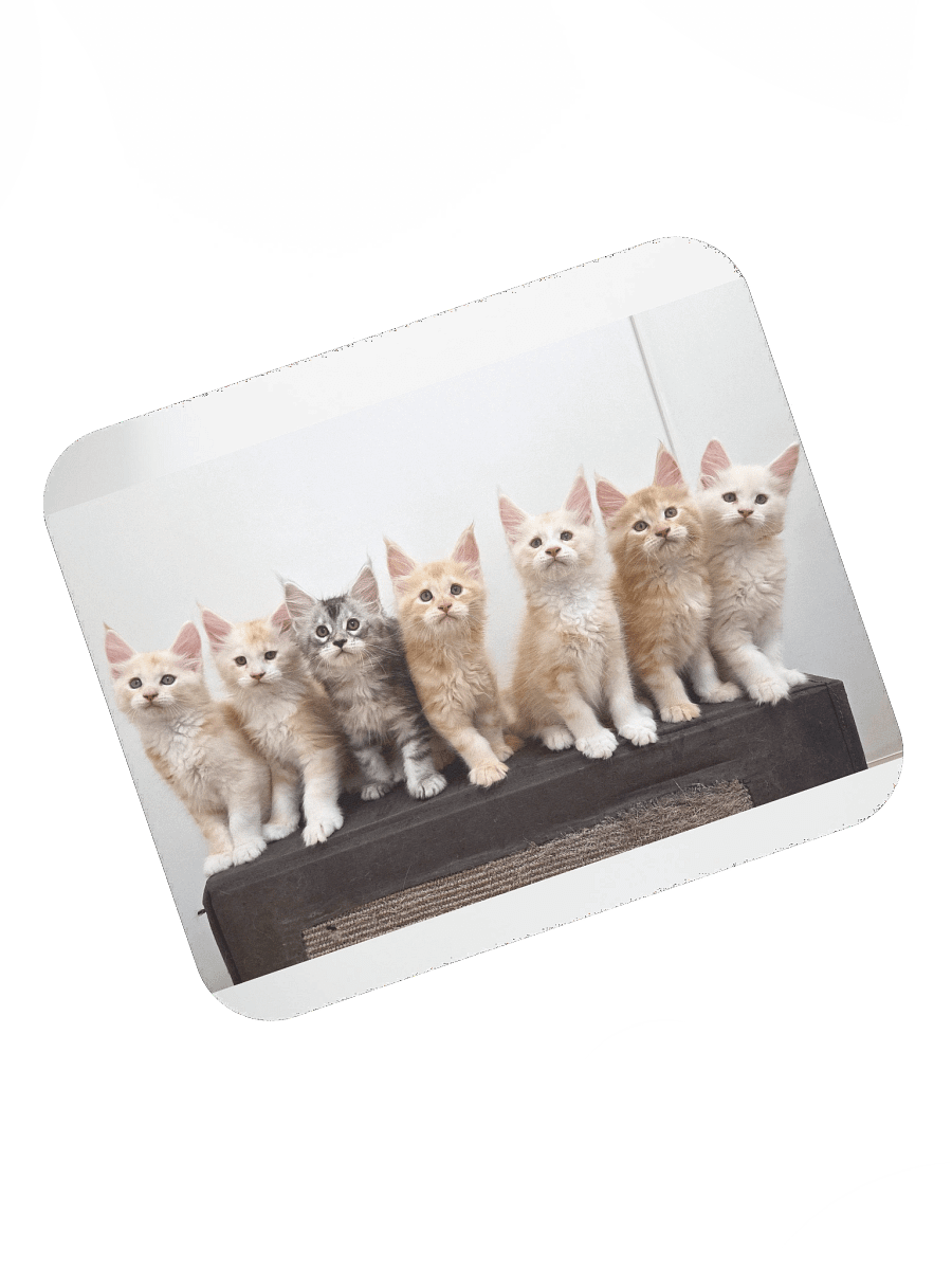 Freya's Kittens - Mouse Pad product image (7)