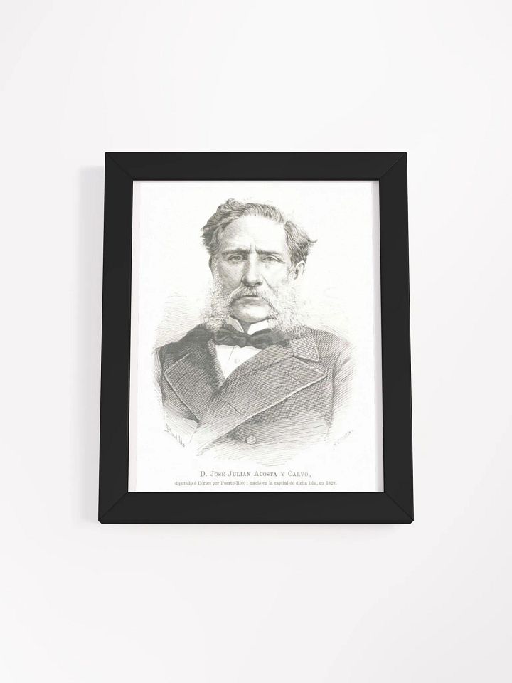 Cuadro - José Julián Acosta y Calvo: Diputado Provincia de Puerto Rico product image (1)