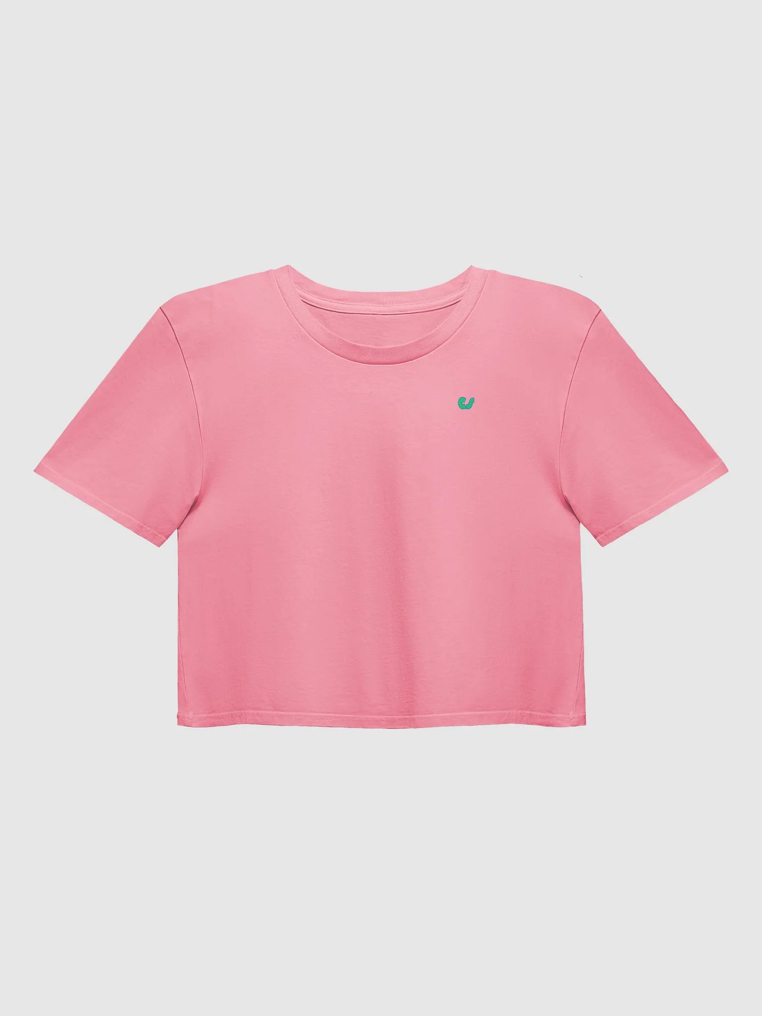 CS Crop Top Tee product image (1)