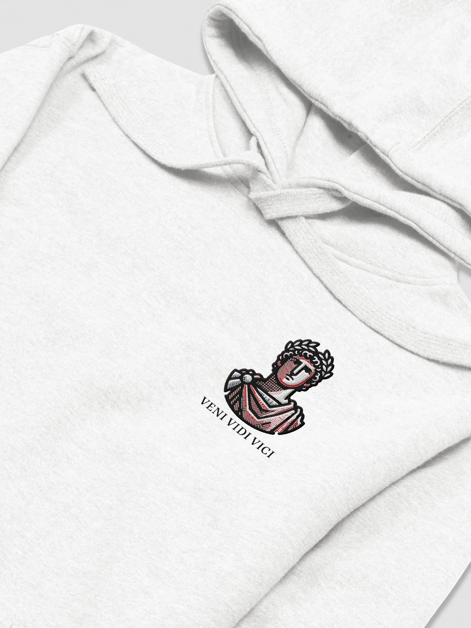 Veni Vidi Vici Hoodie product image (1)