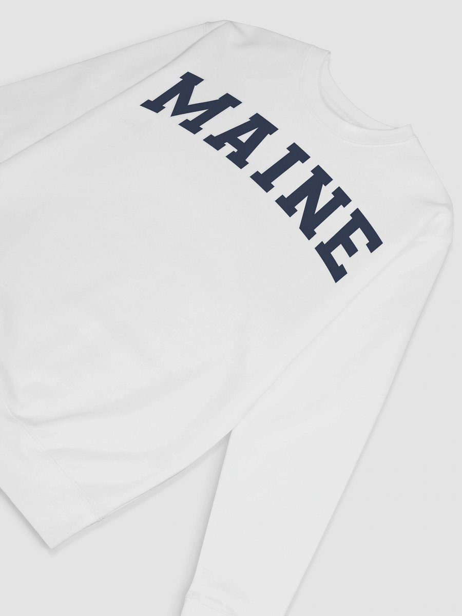 Maine Vintage Stylish Premium Sweatshirt product image (57)