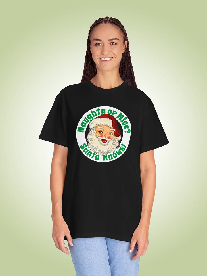 Naughty Or Nice? Santa Knows! product image (1)