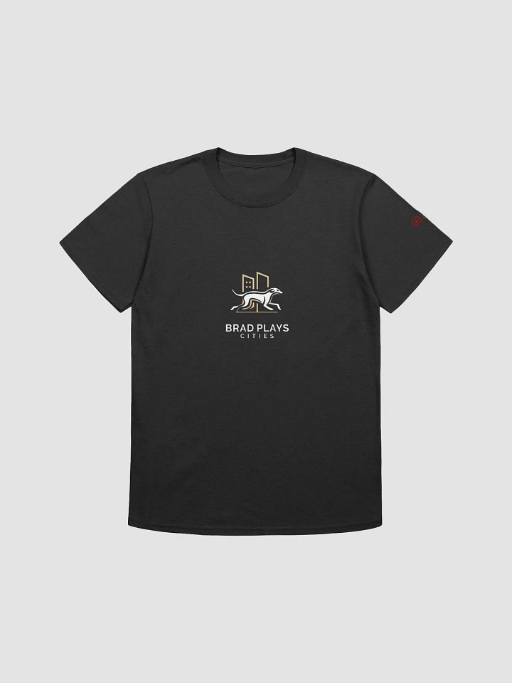 bradplayscities tshirt product image (1)