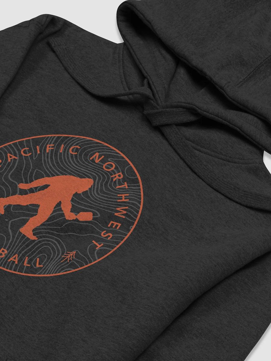 PNW Pickleball Circle Hoodie product image (15)