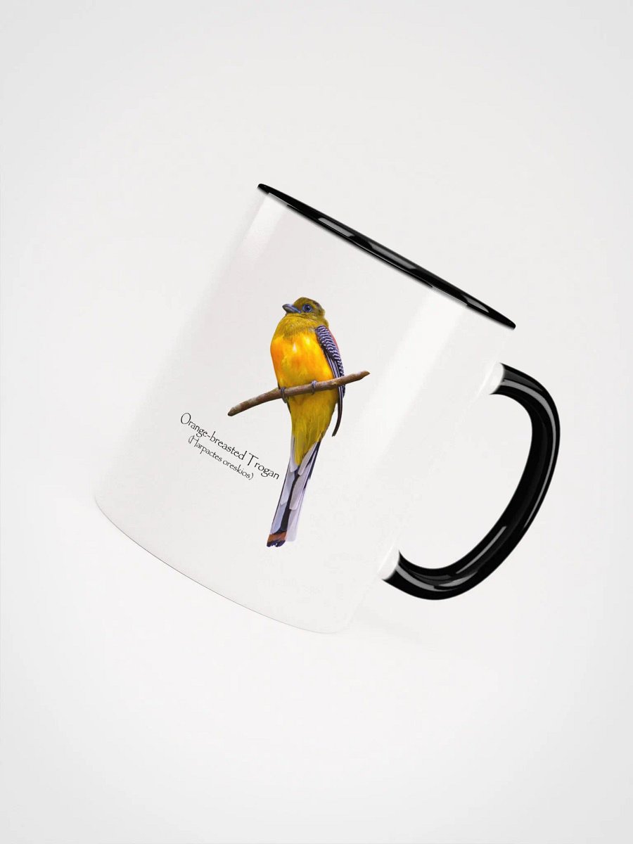 Orange-breasted Trogan mug product image (31)