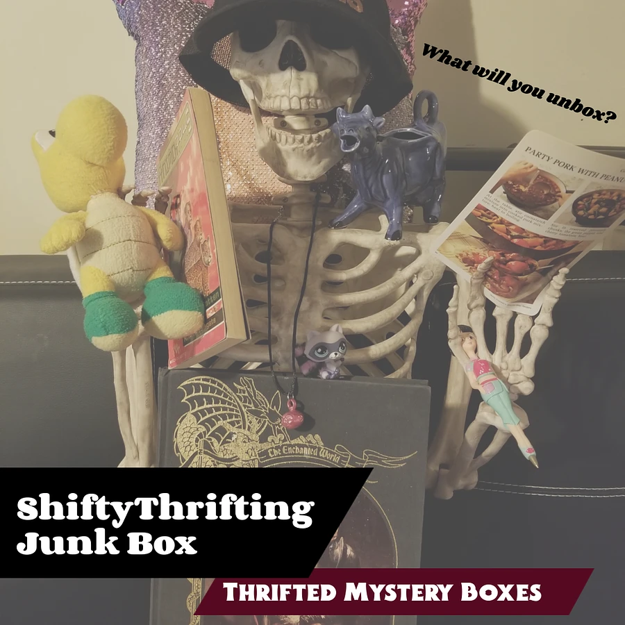 ShiftyThrifting Junk Box product image (2)