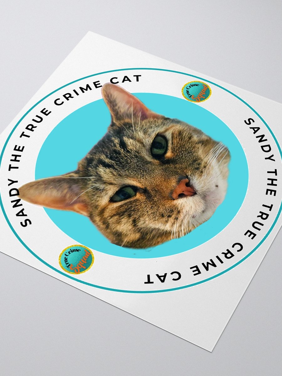 Sandy the True Crime Cat product image (3)