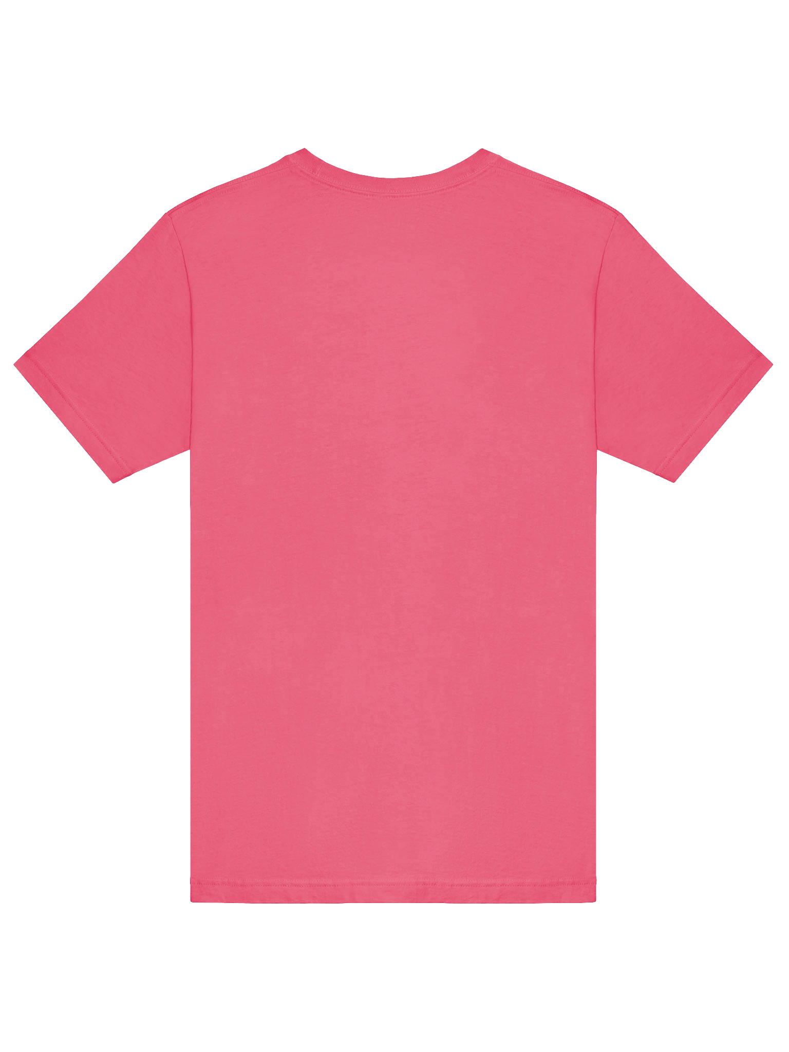 Loud and Proud Bi T-Shirt product image (52)