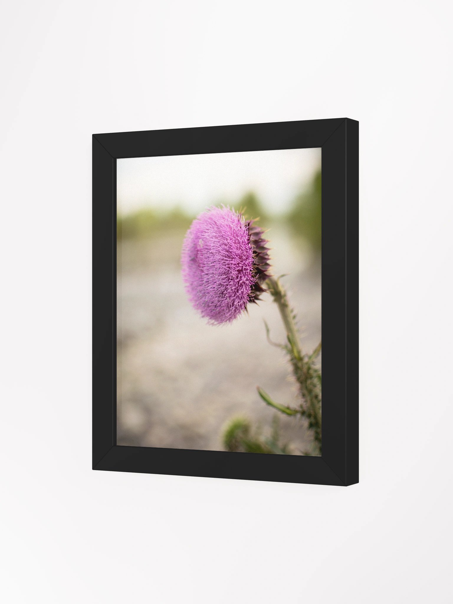 Flower - Blackfoot, Idaho product image (9)