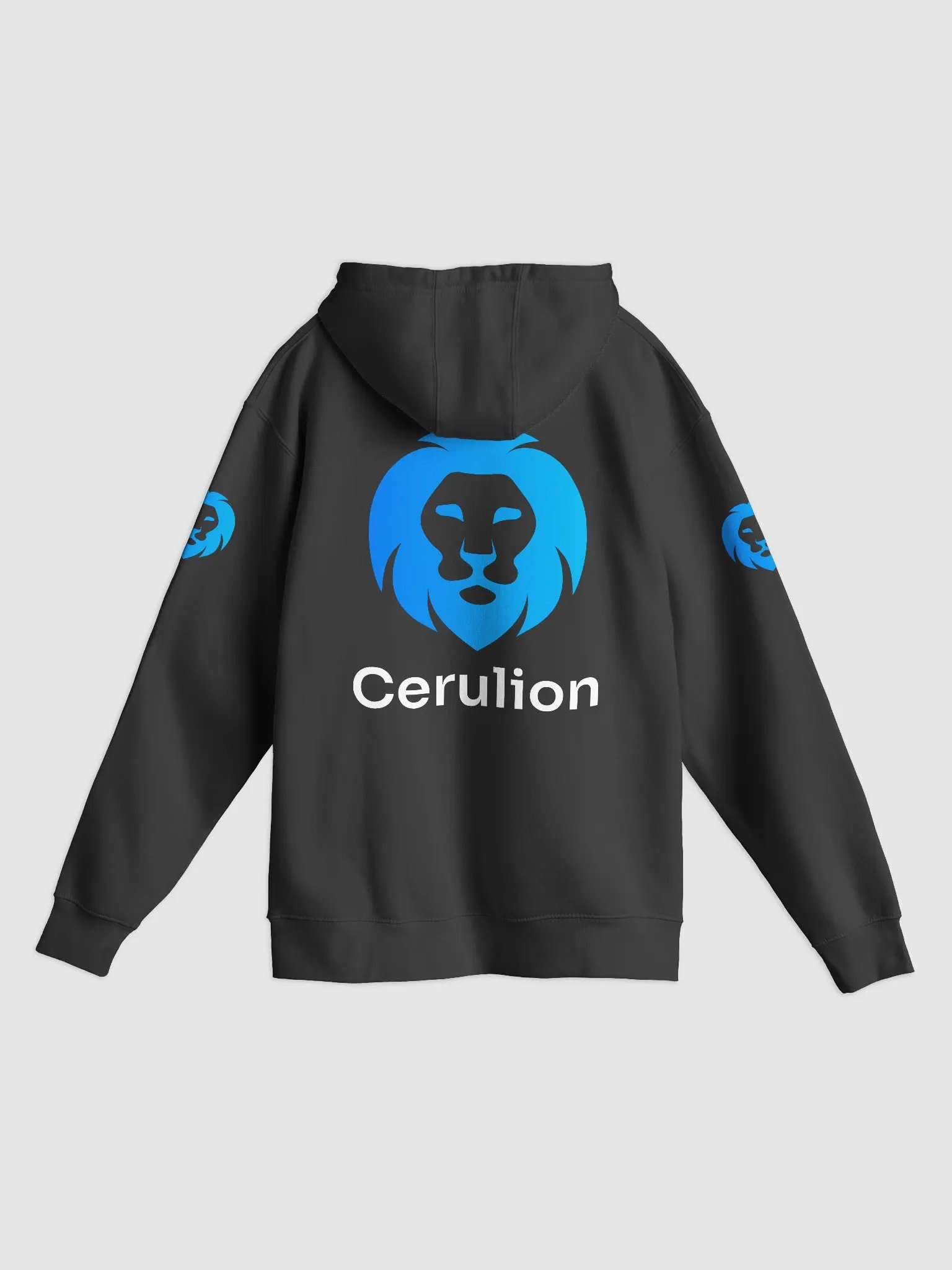 Cerulion Printed Hoodie product image (2)