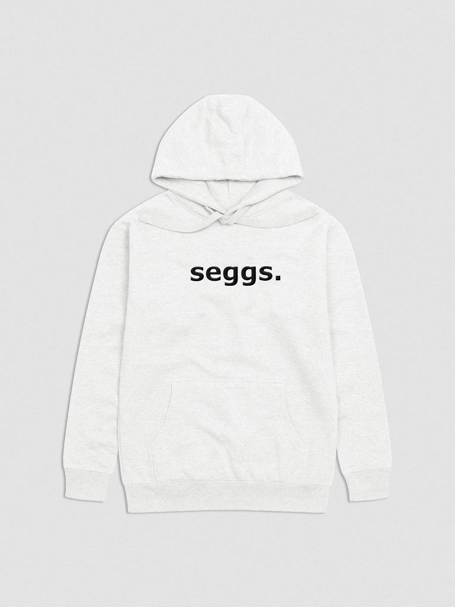 seggs. embroidered hoodie product image (1)